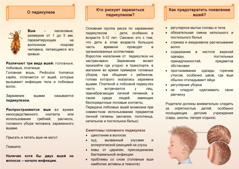 ПАМЯТКА ПО ПРОФИЛАКТИКЕ ПЕДИКУЛЁЗА.